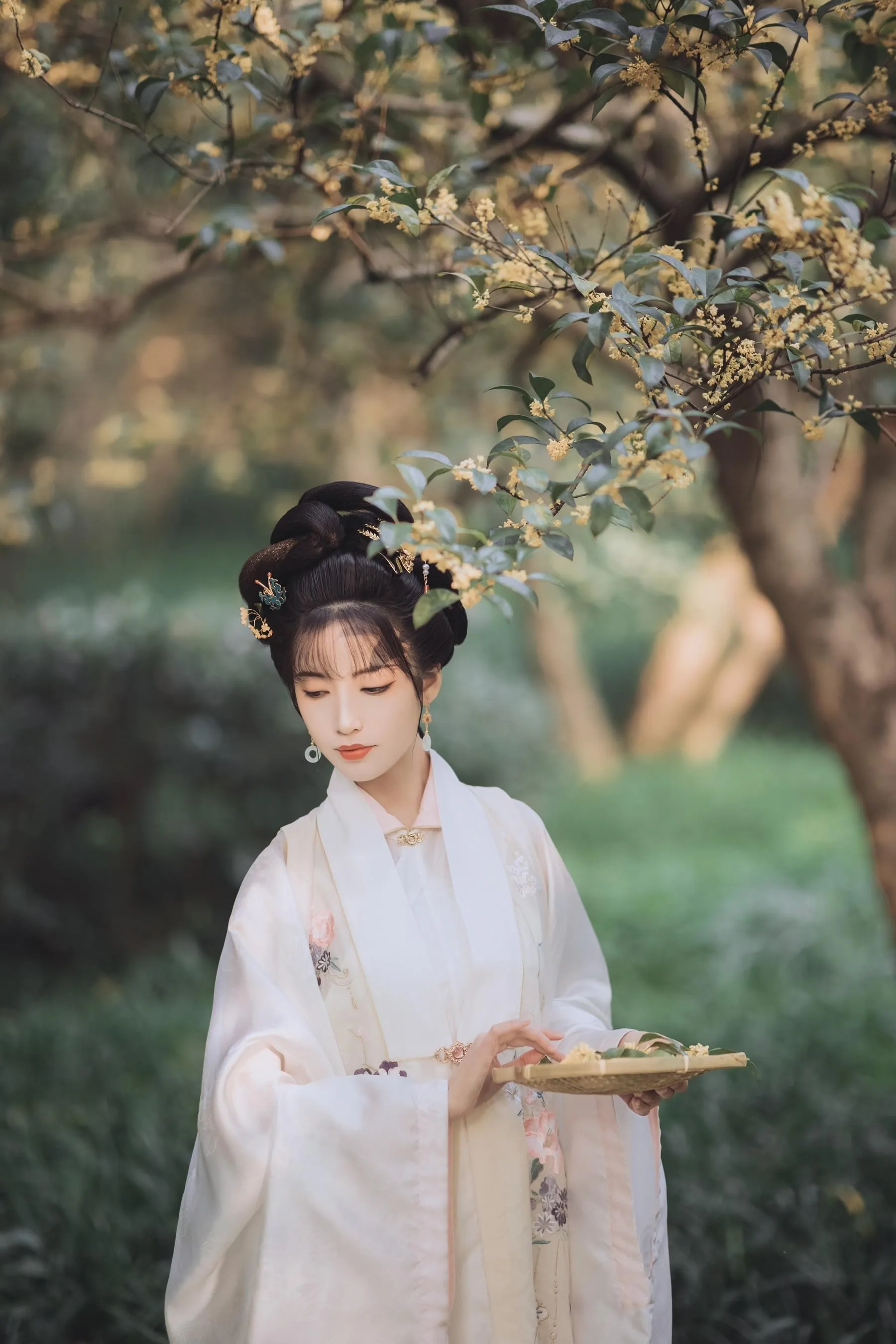 [YITUYU艺图语]2021.11.22 桂花酿 一只阿梦崽 [36P]插图2
